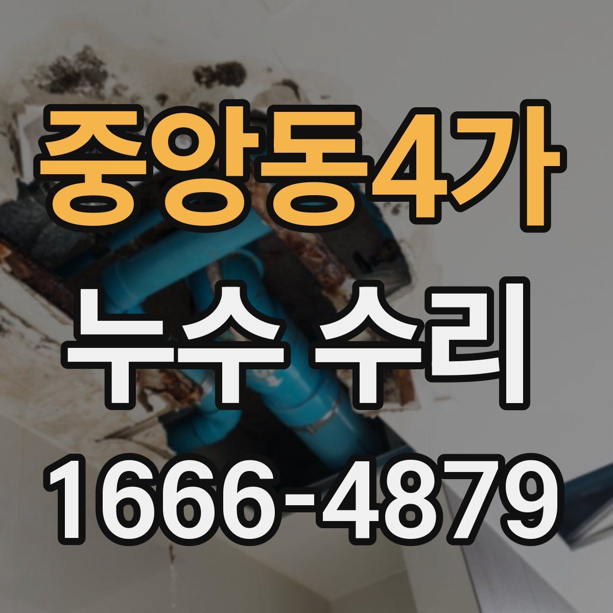 중앙동4가 누수 수리