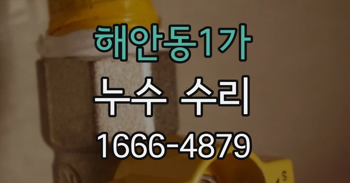 해안동1가 누수 수리