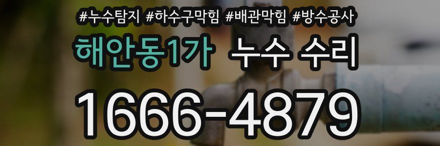 해안동1가 누수 수리