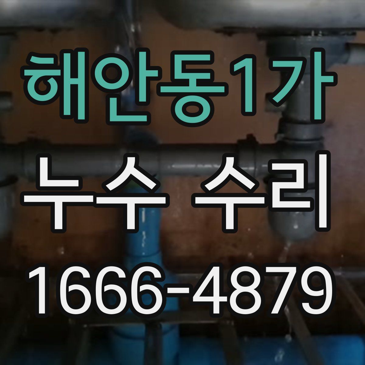 해안동1가 누수 수리