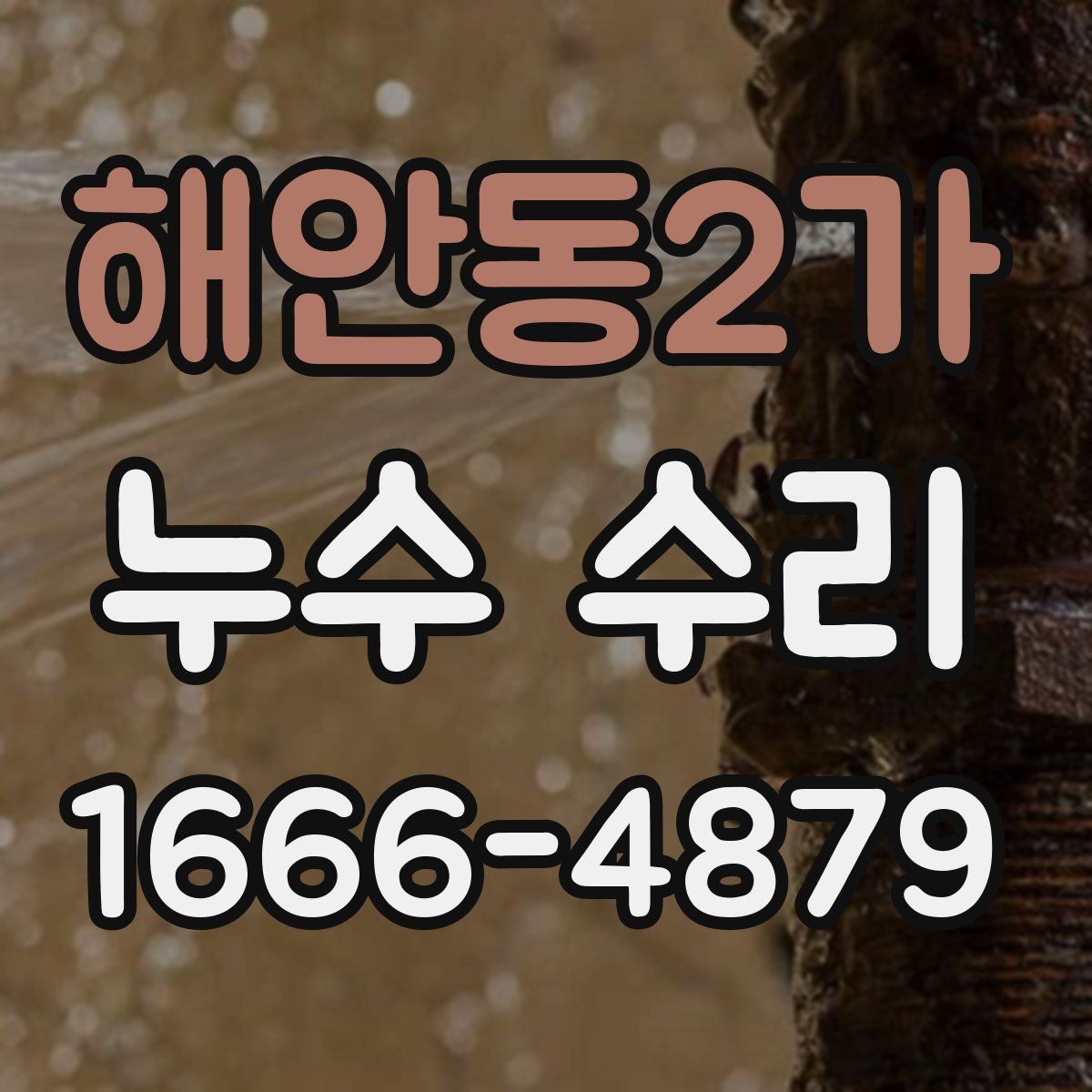 해안동2가 누수 수리