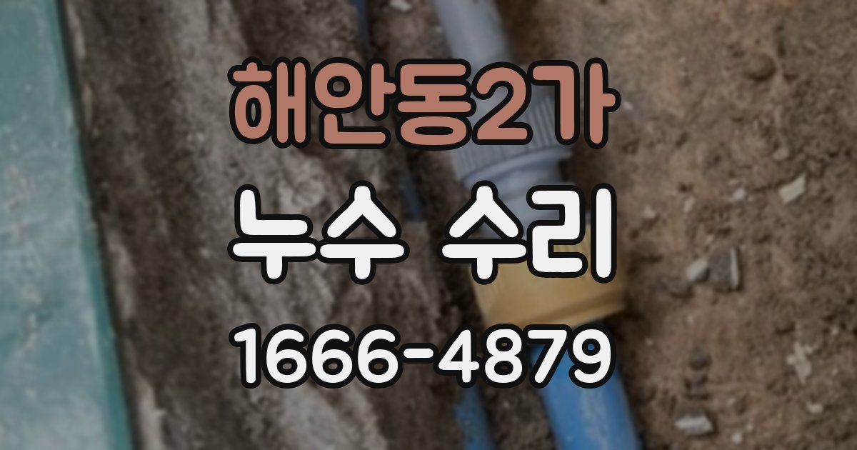해안동2가 누수 수리