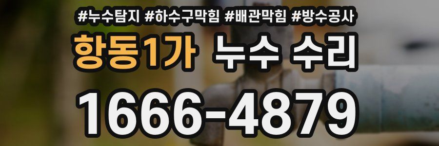 항동1가 누수 수리
