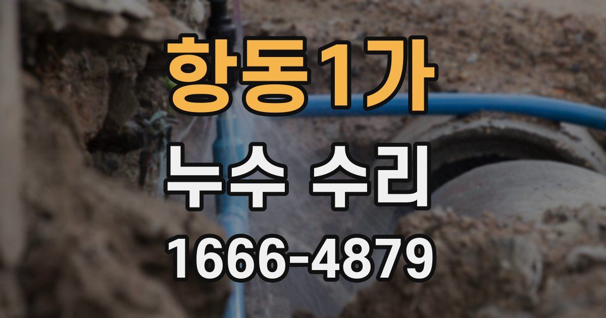 항동1가 누수 수리