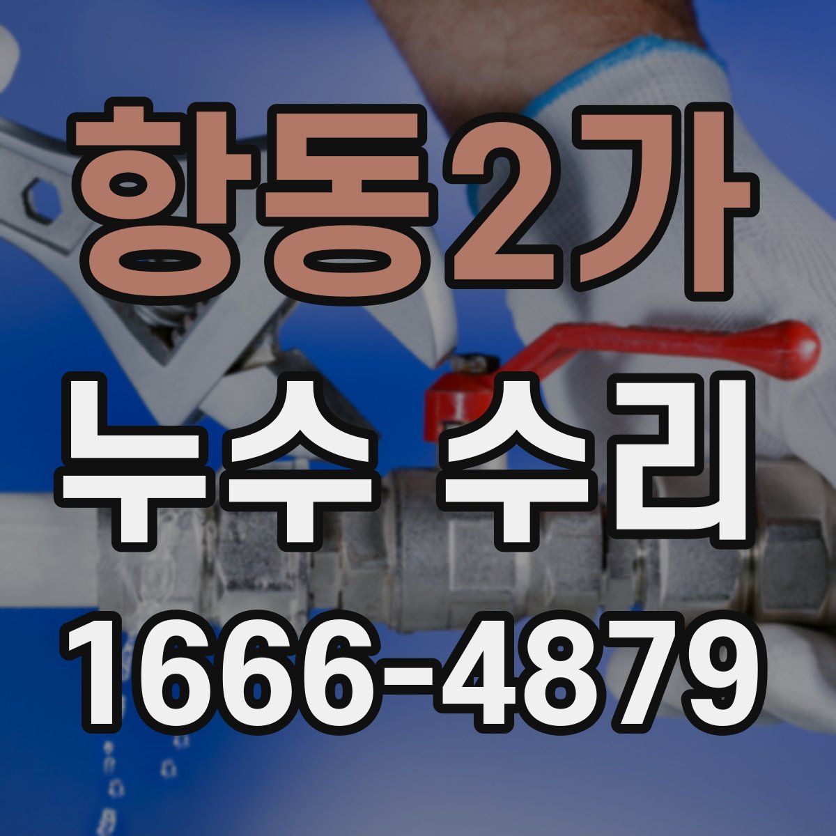 항동2가 누수 수리