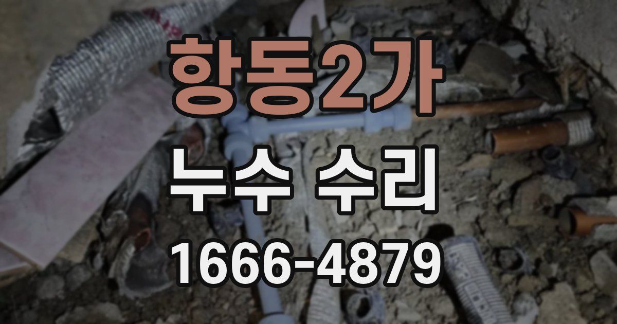 항동2가 누수 수리