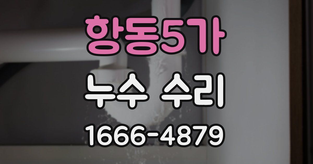 항동5가 누수 수리