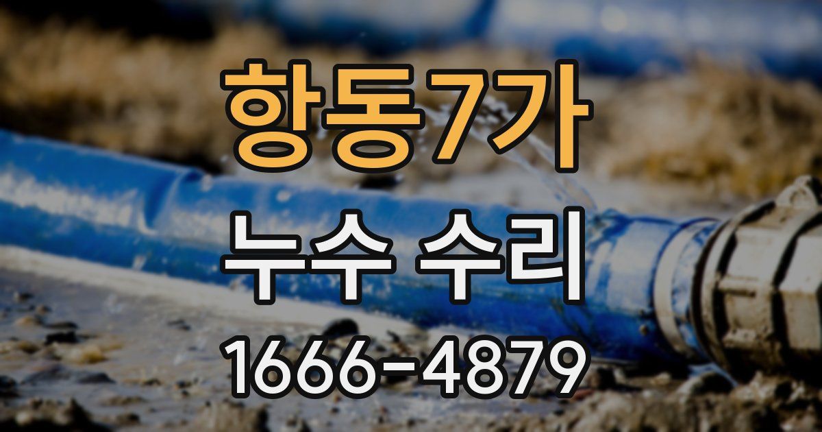 항동7가 누수 수리