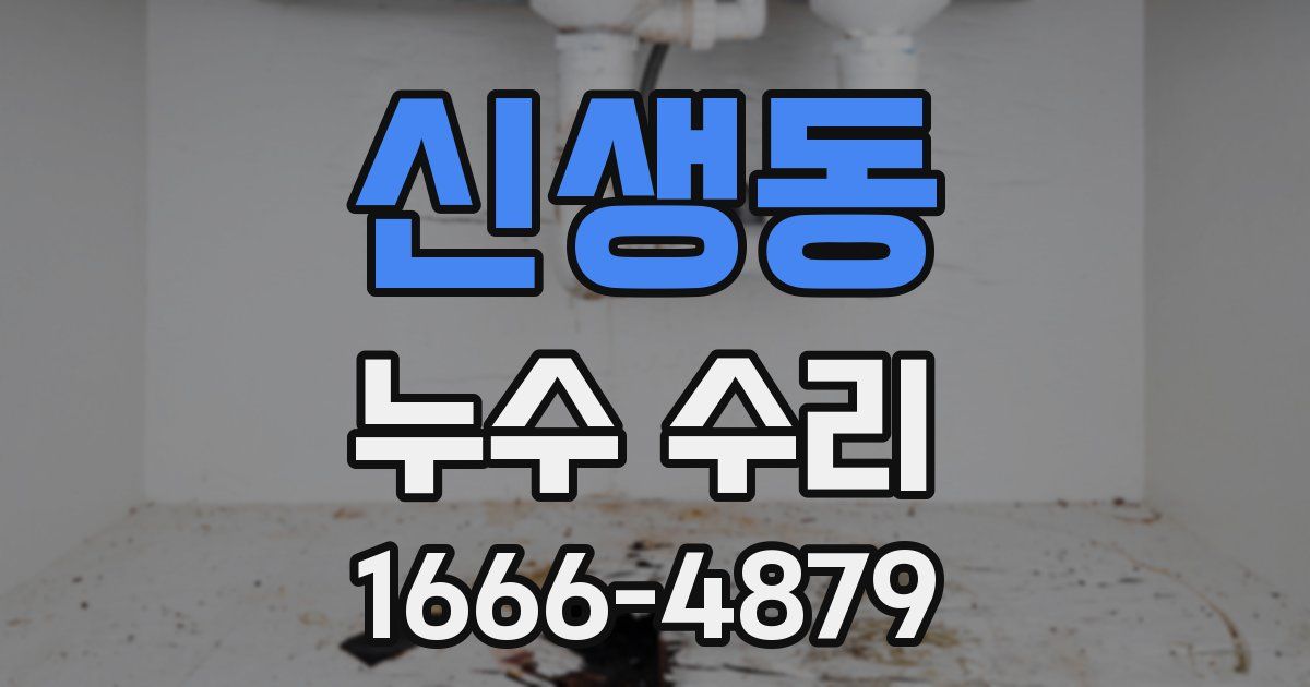 신생동 누수 수리