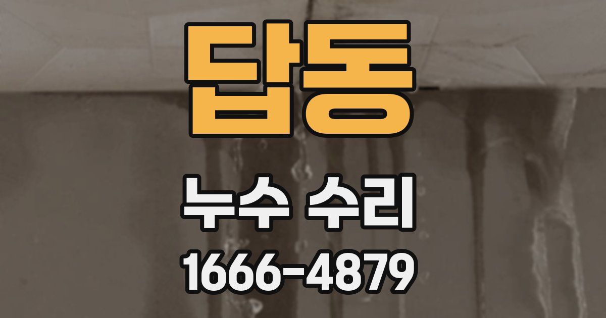 답동 누수 수리