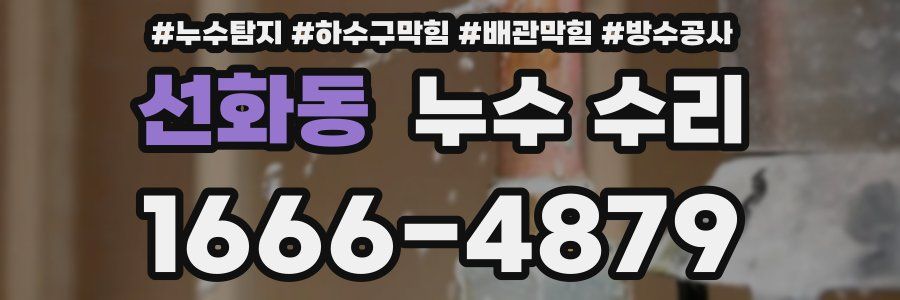 선화동 누수 수리