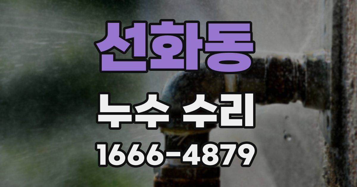 선화동 누수 수리
