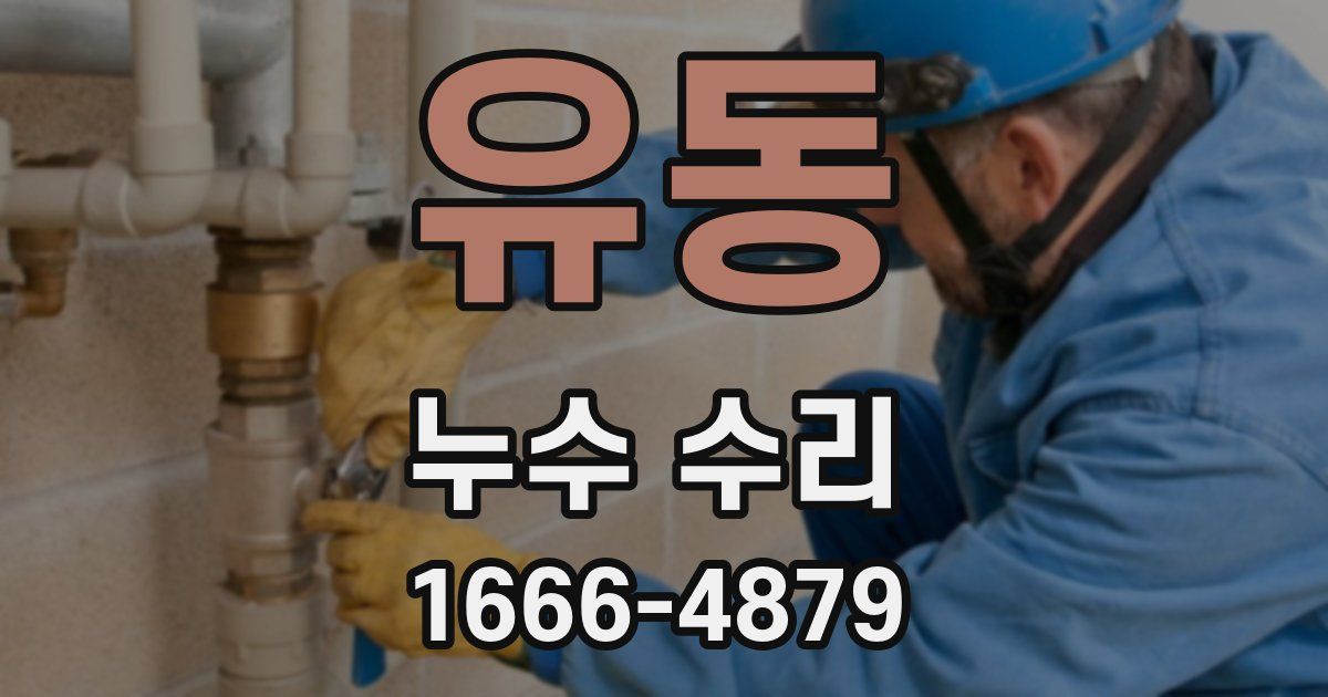 유동 누수 수리