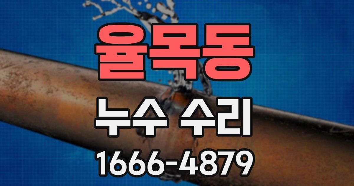 율목동 누수 수리