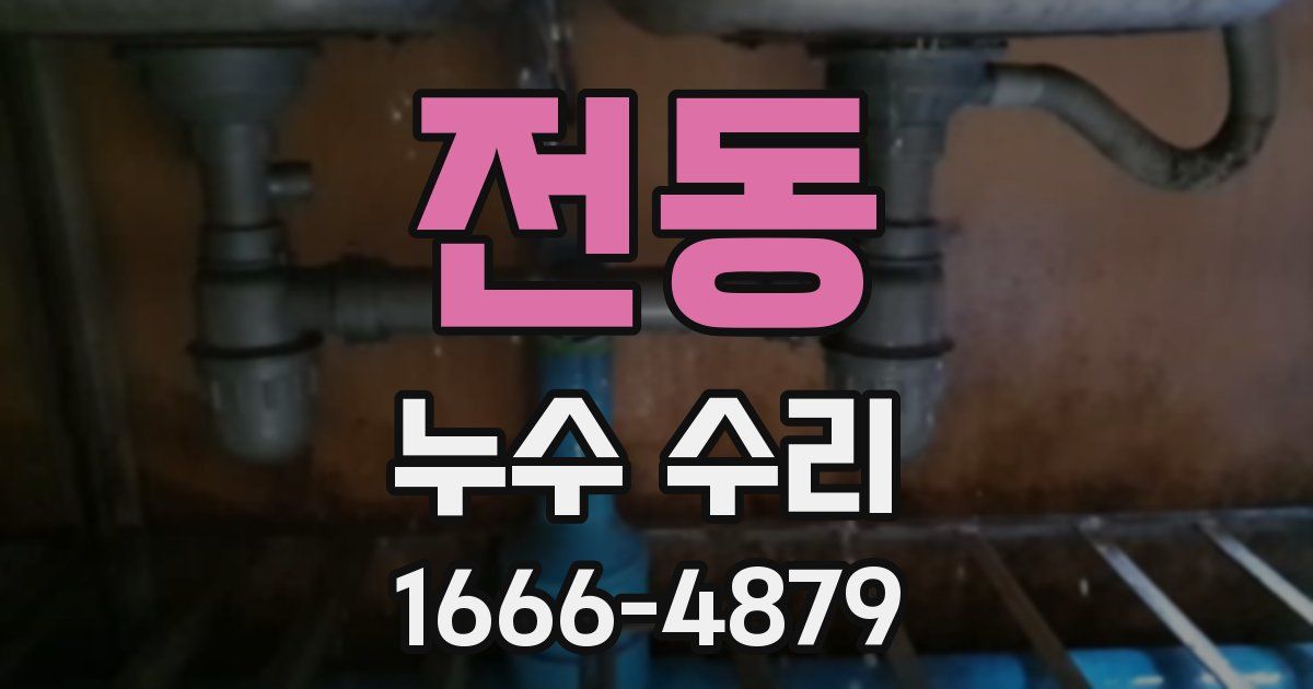 전동 누수 수리