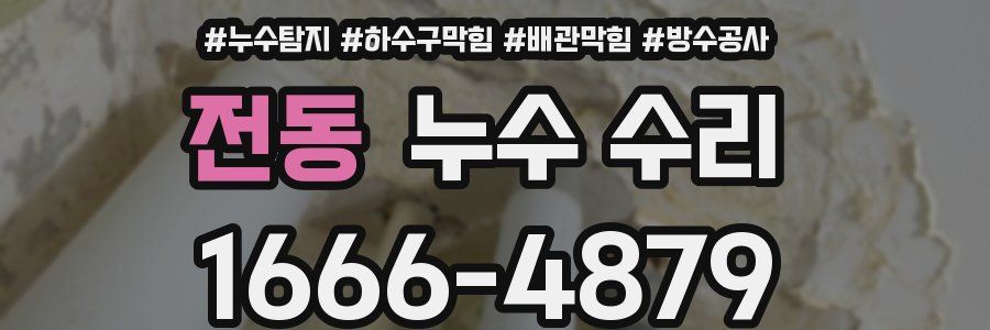 전동 누수 수리