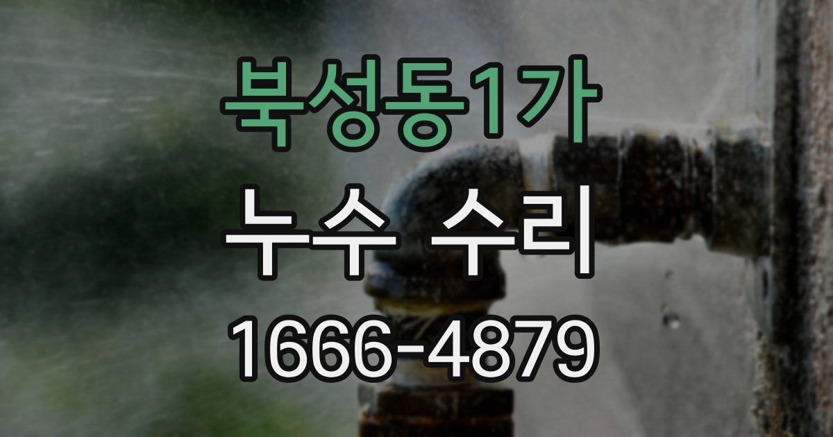 북성동1가 누수 수리