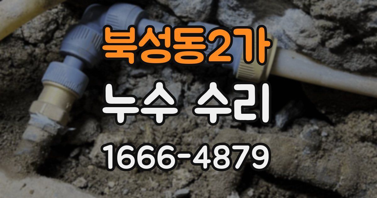 북성동2가 누수 수리