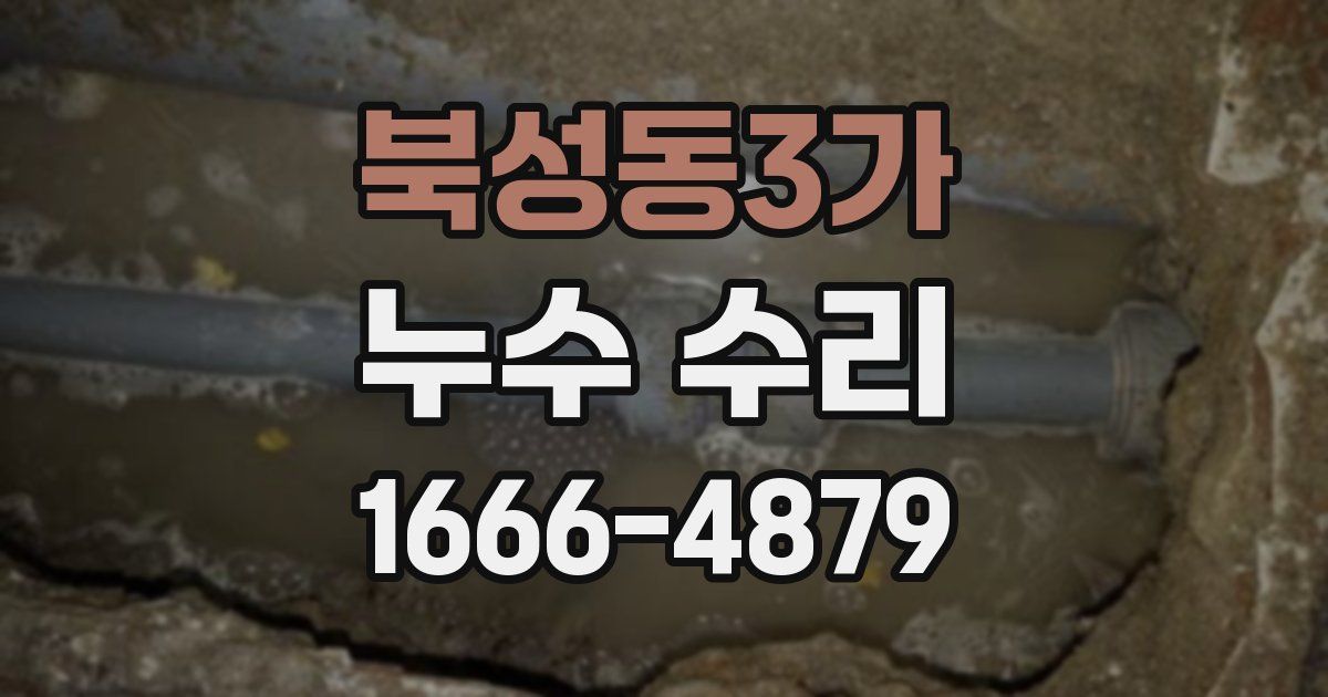 북성동3가 누수 수리