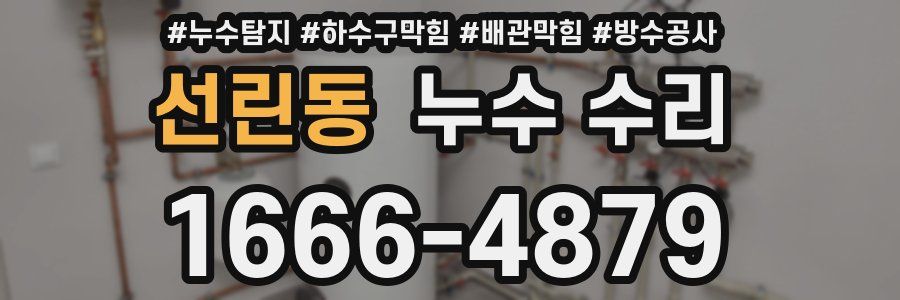 선린동 누수 수리