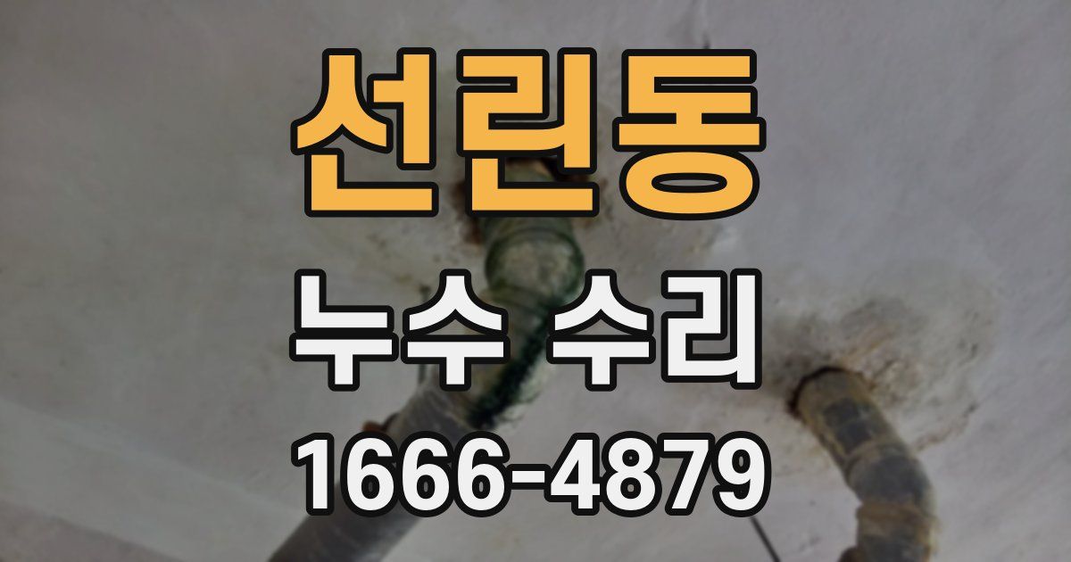 선린동 누수 수리