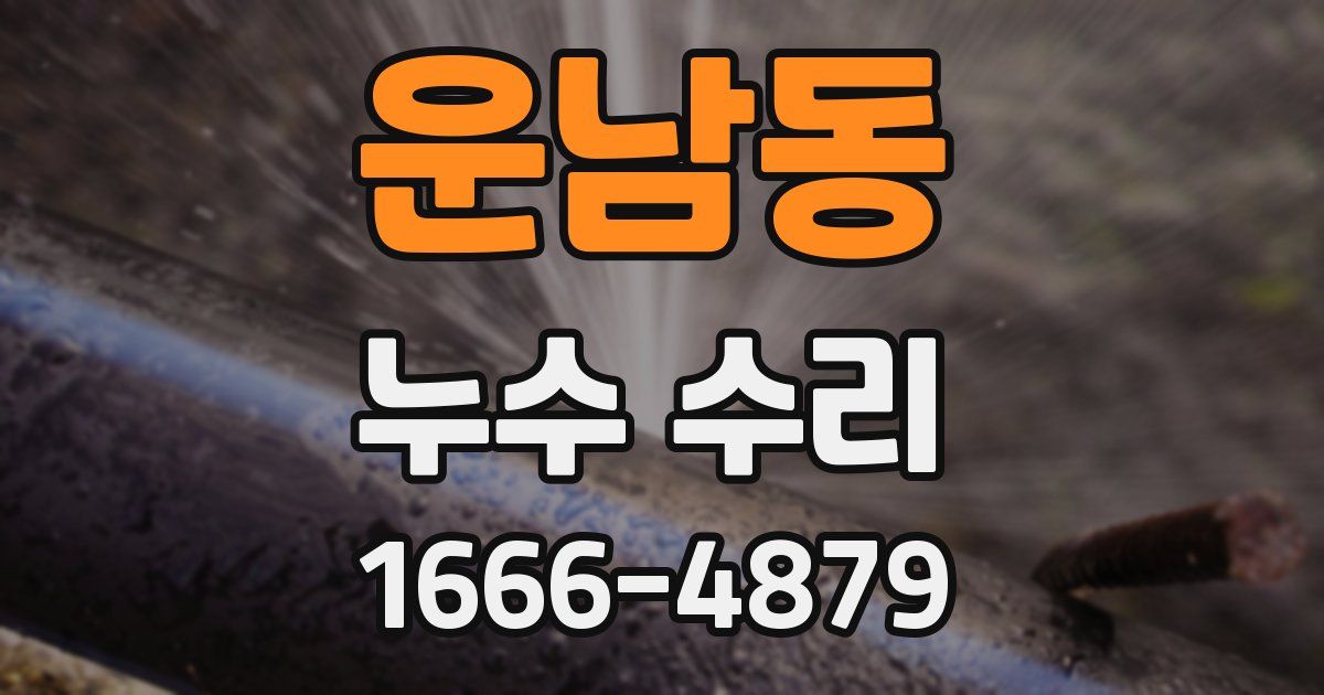 운남동 누수 수리