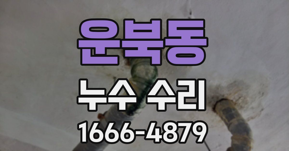 운북동 누수 수리