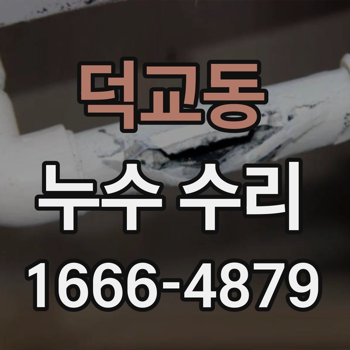 덕교동 누수 수리