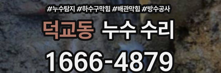 덕교동 누수 수리
