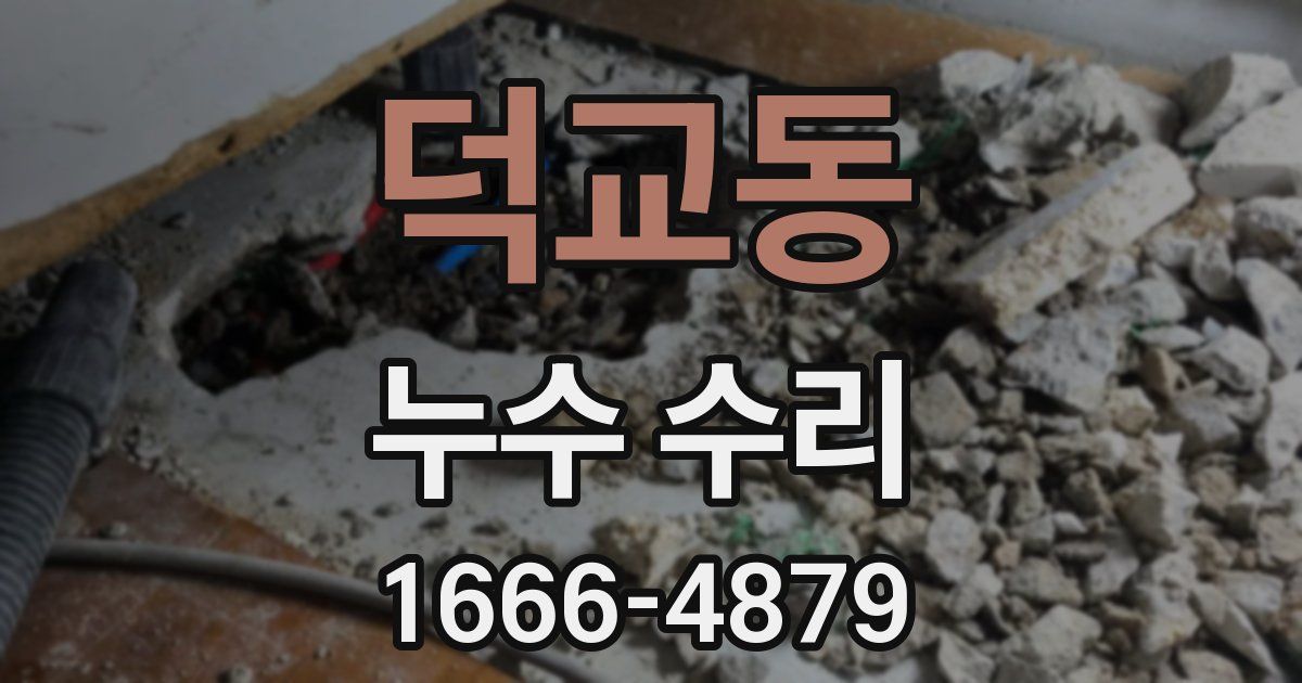 덕교동 누수 수리