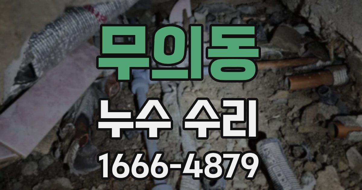무의동 누수 수리