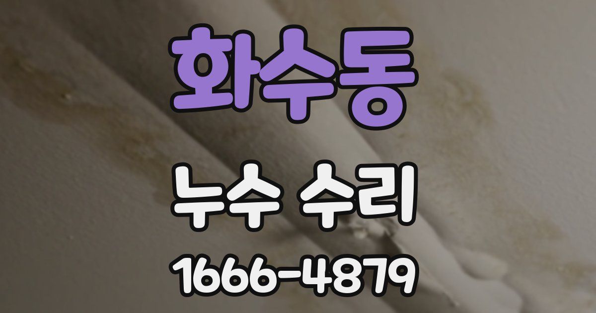 화수동 누수 수리