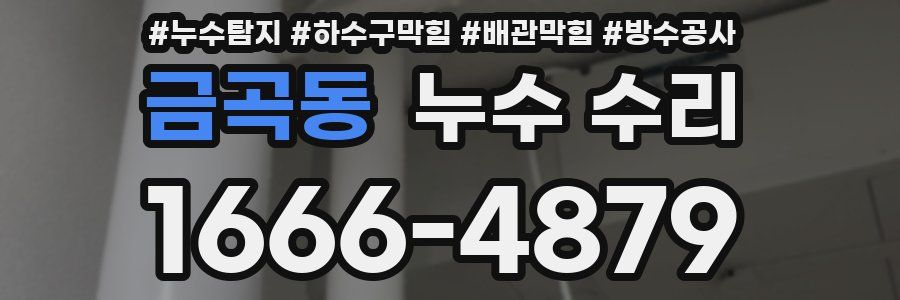 금곡동 누수 수리