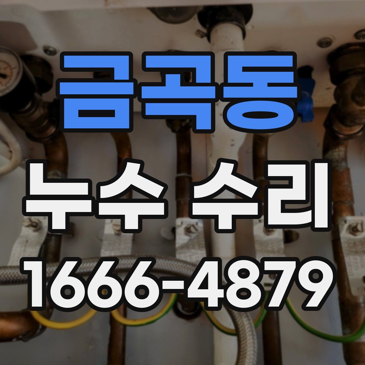 금곡동 누수 수리