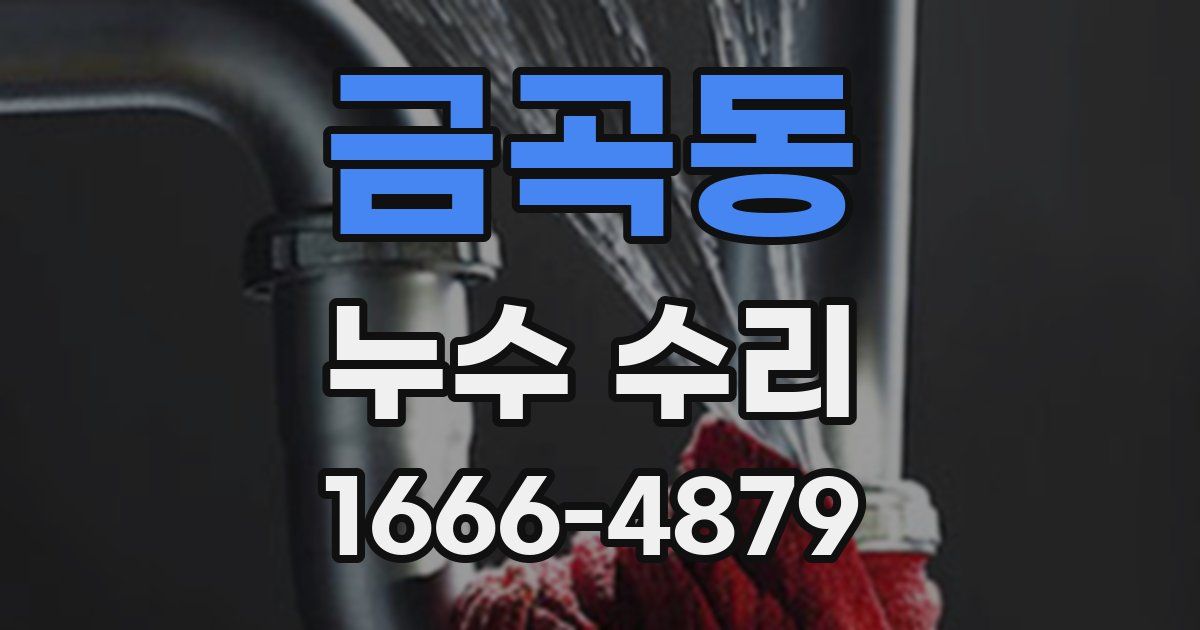 금곡동 누수 수리