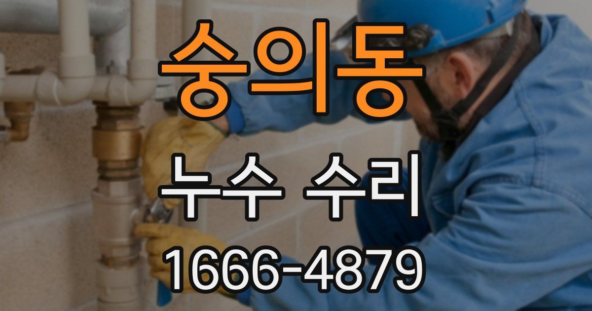 숭의동 누수 수리
