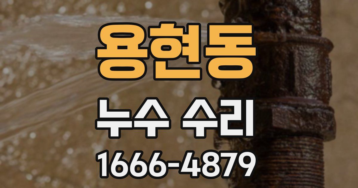 용현동 누수 수리