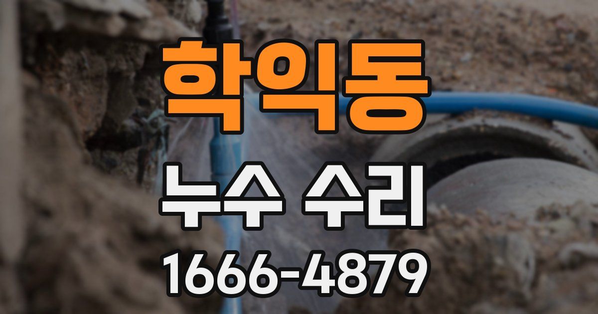 학익동 누수 수리