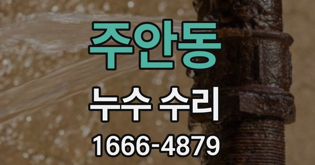 주안동 누수 수리