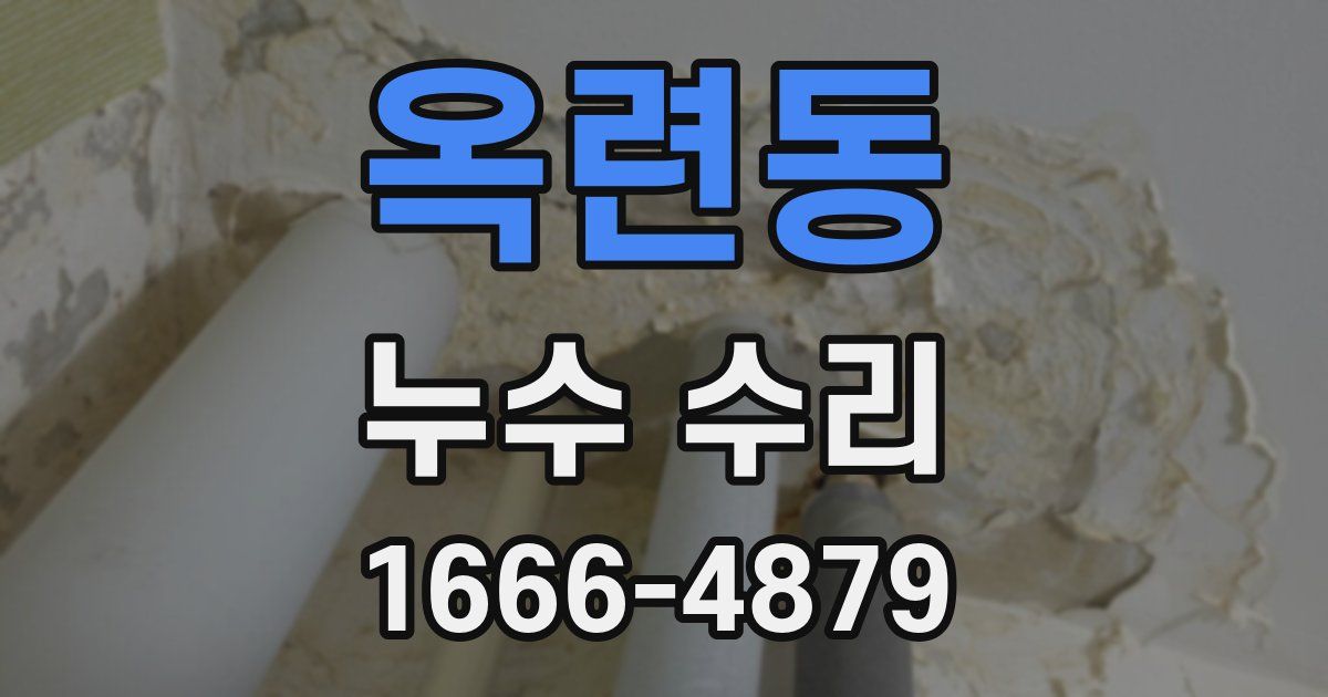 옥련동 누수 수리