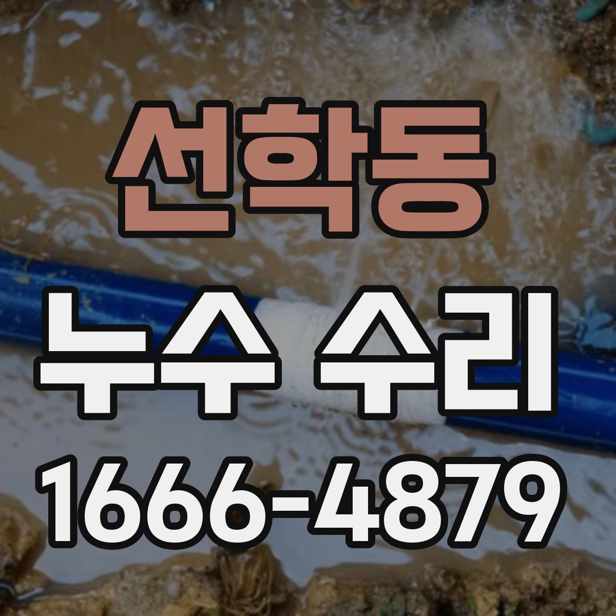 선학동 누수 수리
