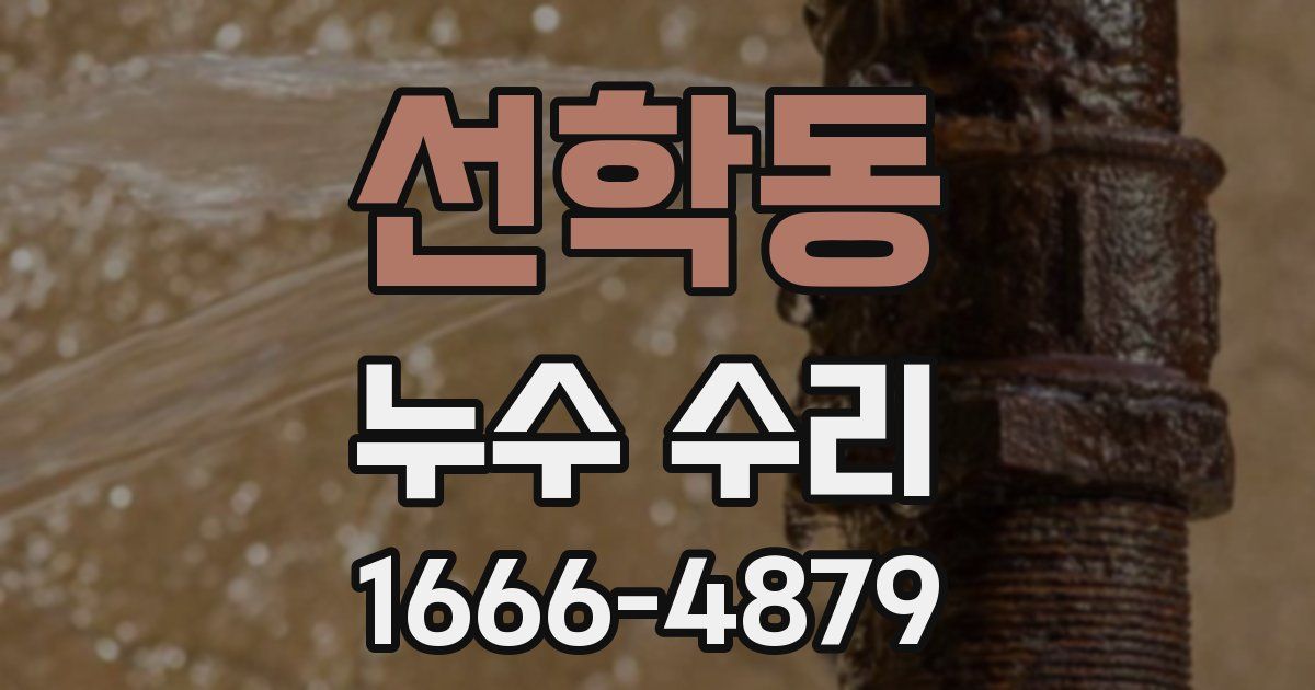 선학동 누수 수리