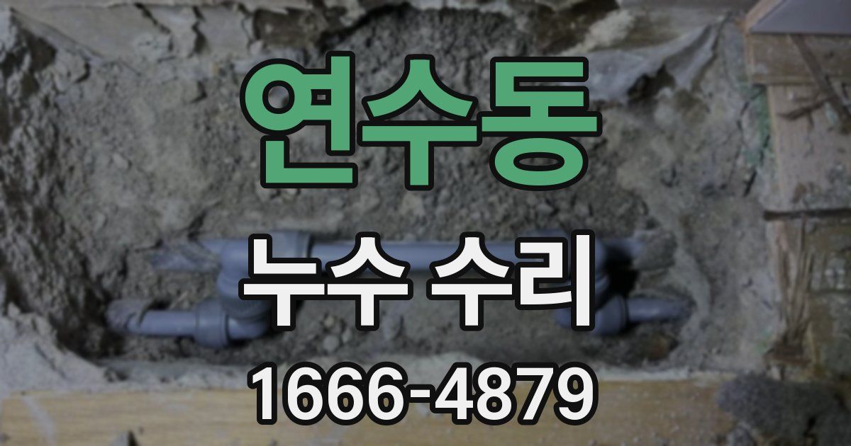 연수동 누수 수리