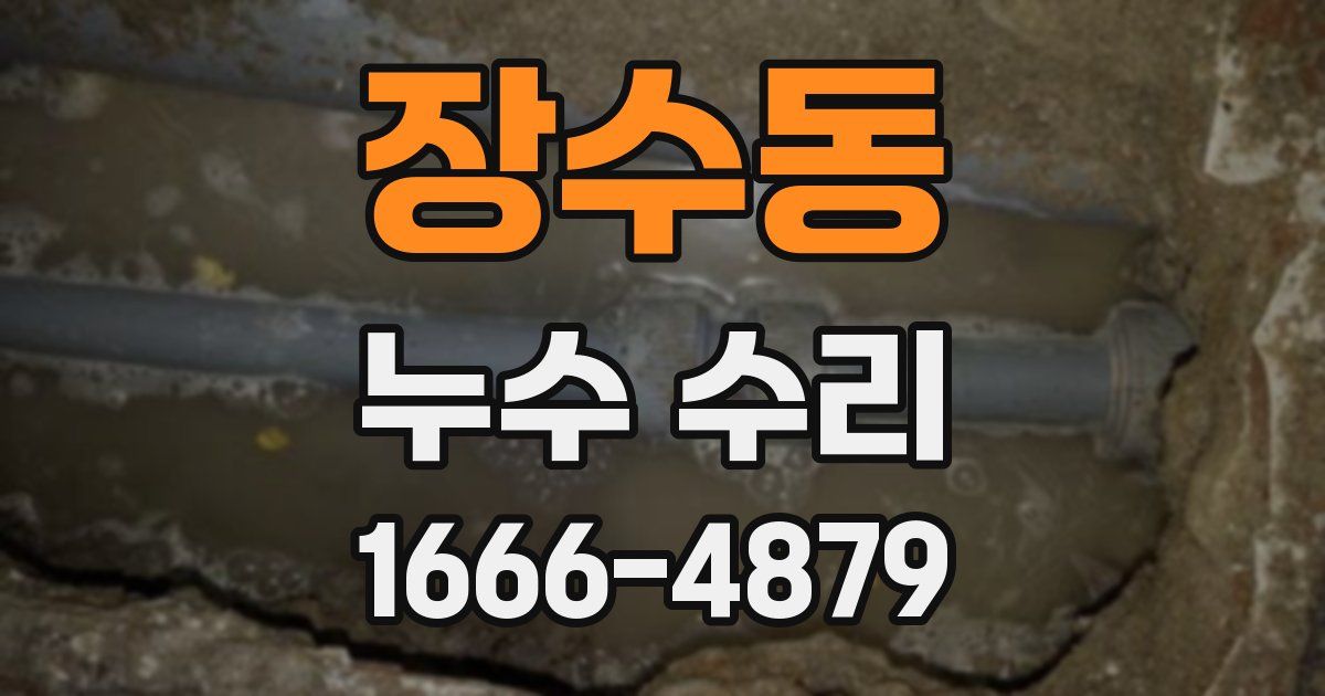 장수동 누수 수리