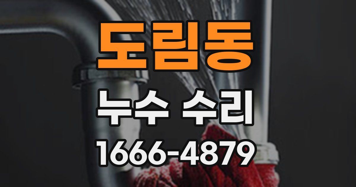 도림동 누수 수리