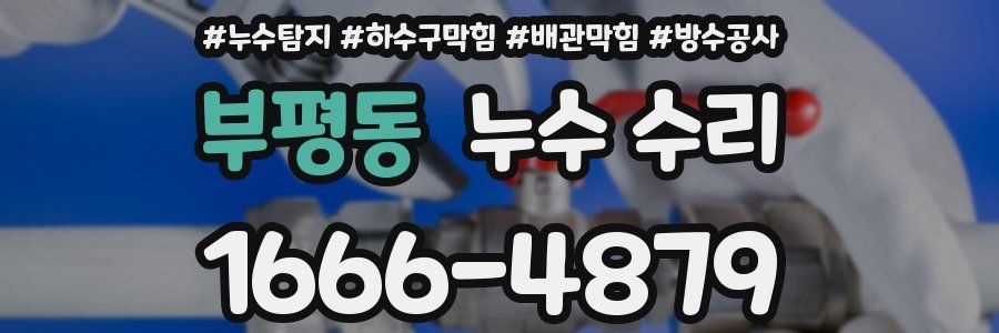 부평동 누수 수리