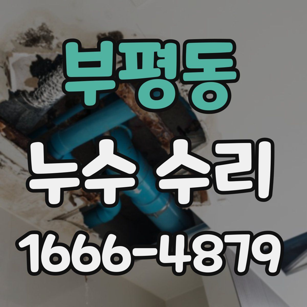 부평동 누수 수리