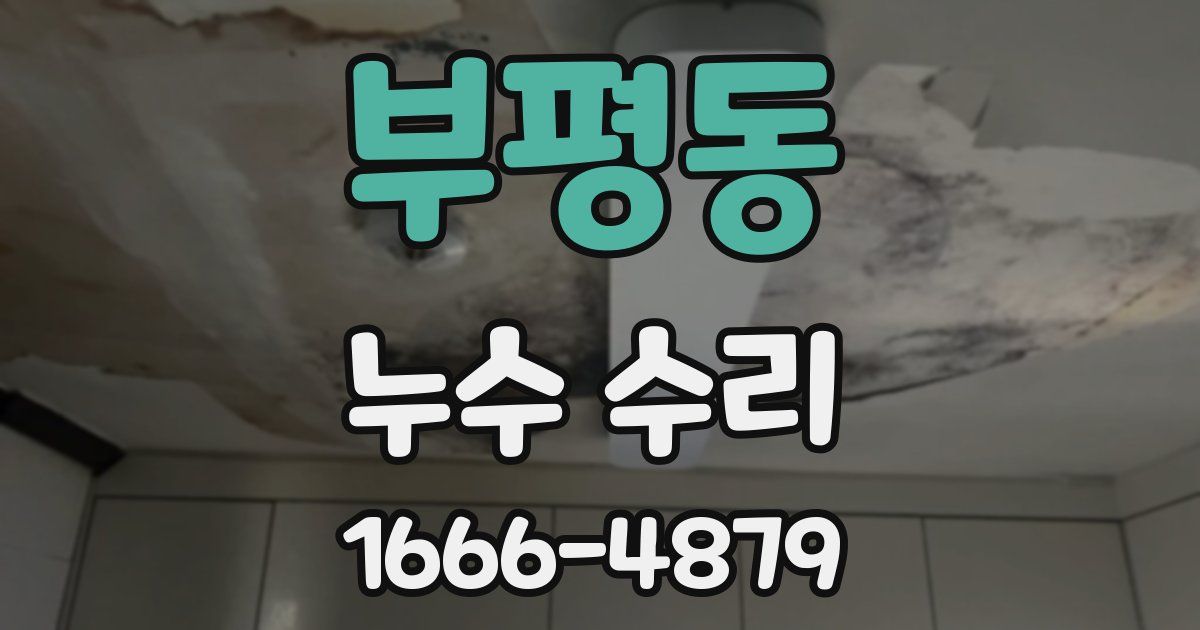 부평동 누수 수리