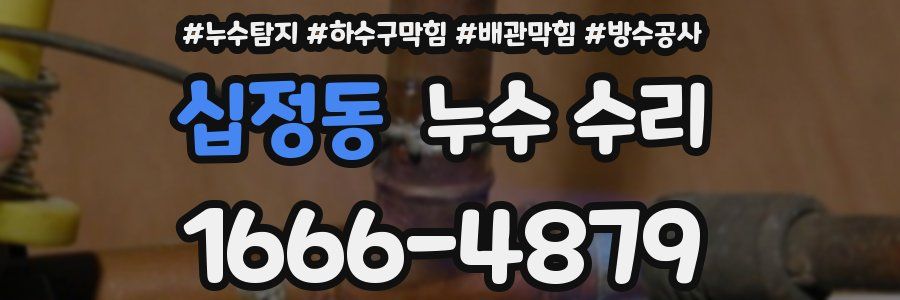 십정동 누수 수리