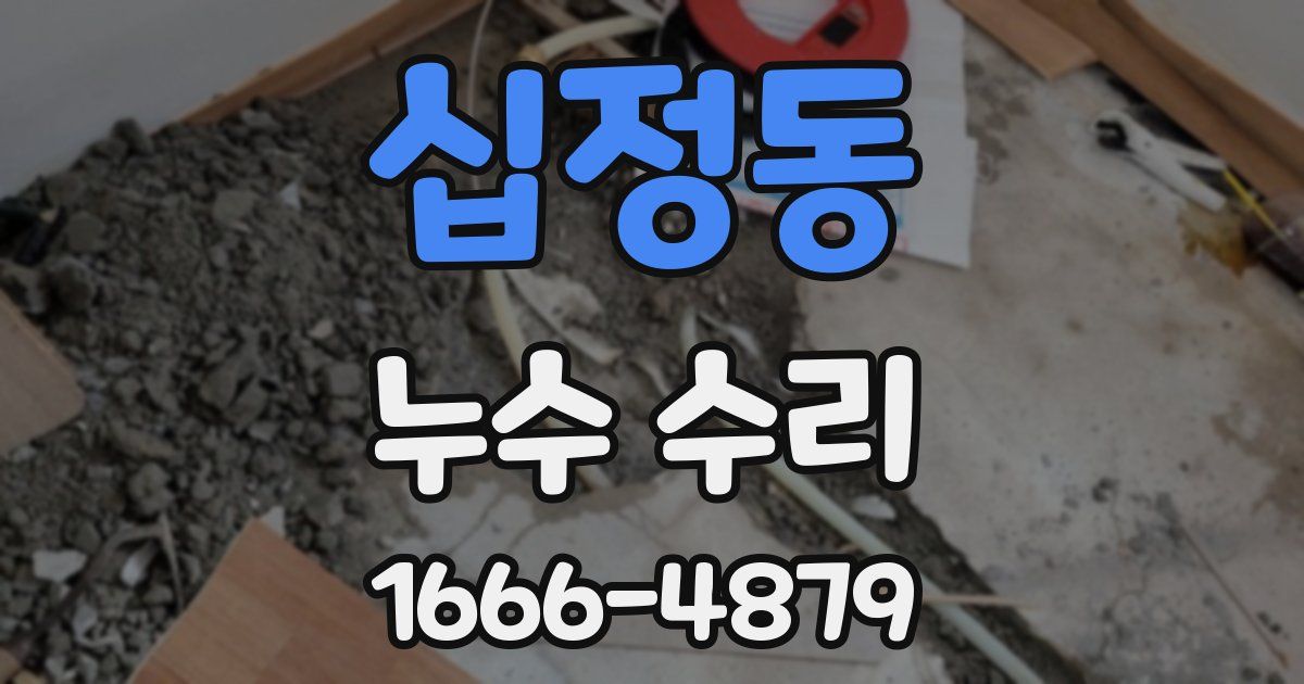 십정동 누수 수리